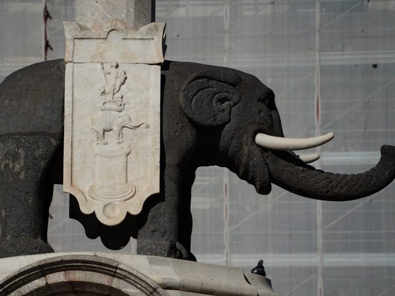 Catania-Elefant-DSC06251